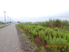 DSCN5312.JPG