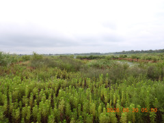 DSCN5313.JPG