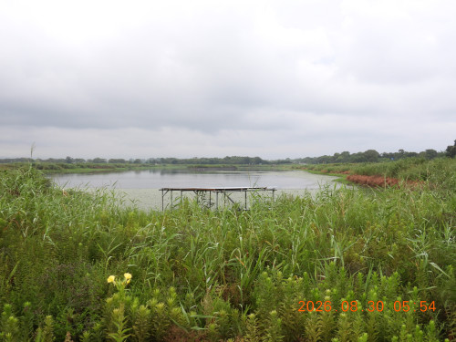 DSCN5316.JPG
