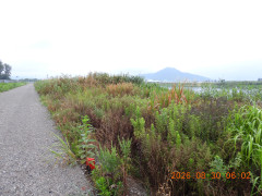 DSCN5318.JPG
