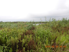 DSCN5320.JPG