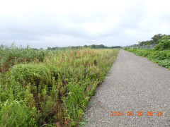 DSCN5321.JPG