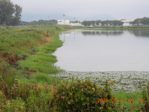 DSCN5323.JPG