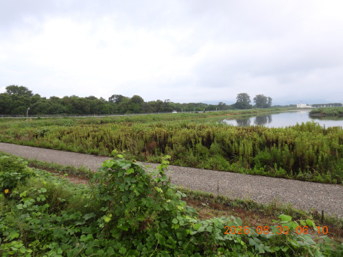 DSCN5324.JPG