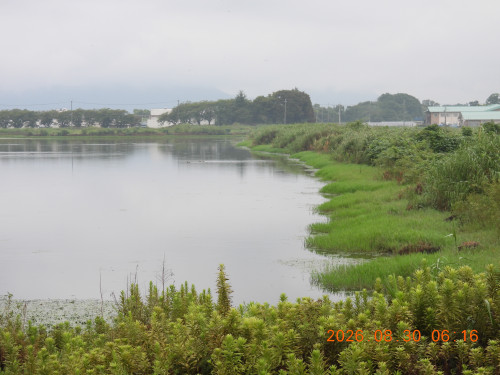 DSCN5327.JPG
