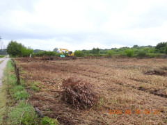 DSCN5333.JPG