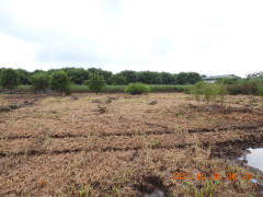 DSCN5334.JPG