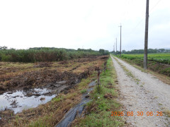 DSCN5335.JPG