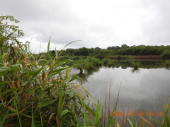 DSCN5338.JPG