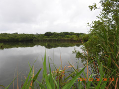 DSCN5339.JPG