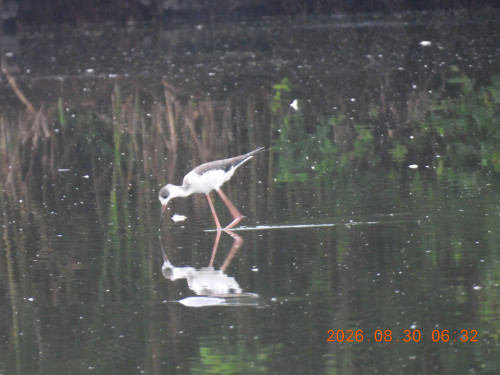 DSCN5350.JPG