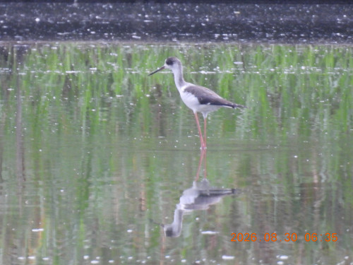 DSCN5358.JPG