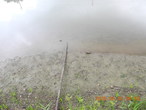 DSCN5365.JPG