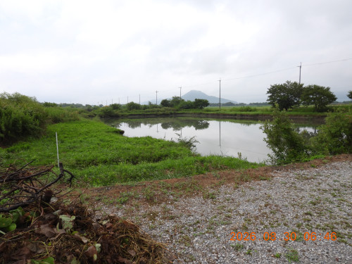 DSCN5362.JPG