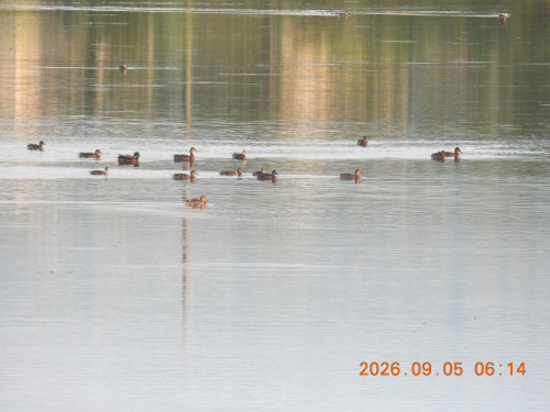 DSCN5397.JPG