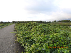 DSCN5372.JPG