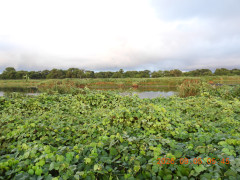 DSCN5373.JPG