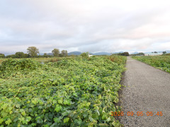 DSCN5374.JPG