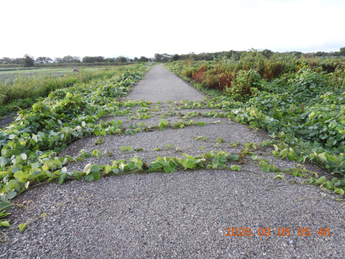 DSCN5375.JPG