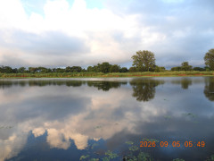 DSCN5377.JPG