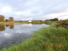 DSCN5378.JPG