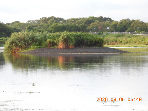 DSCN5379.JPG