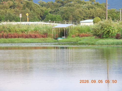 DSCN5380.JPG