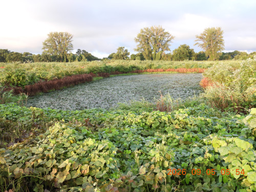 DSCN5381.JPG