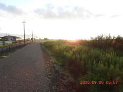 DSCN5385.JPG
