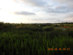 DSCN5386.JPG