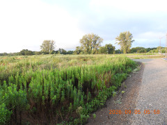 DSCN5387.JPG