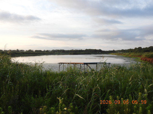 DSCN5388.JPG