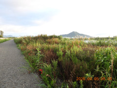 DSCN5389.JPG