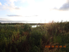 DSCN5390.JPG