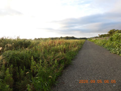 DSCN5391.JPG