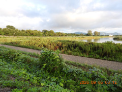 DSCN5394.JPG