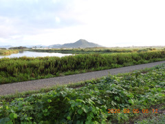 DSCN5395.JPG