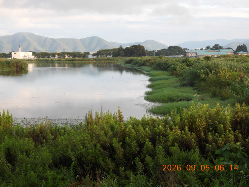 DSCN5396.JPG
