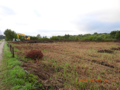 DSCN5401.JPG