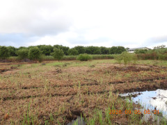 DSCN5402.JPG