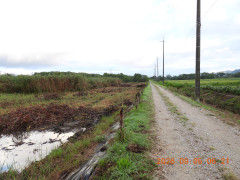 DSCN5403.JPG