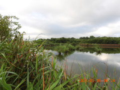 DSCN5406.JPG