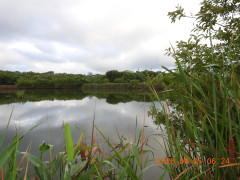 DSCN5407.JPG