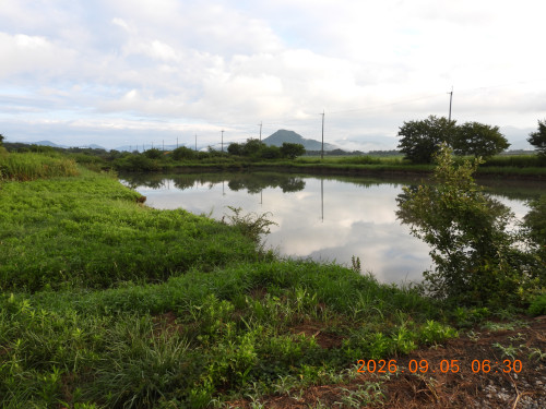 DSCN5412.JPG
