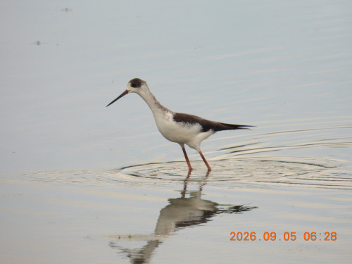 DSCN5408.JPG