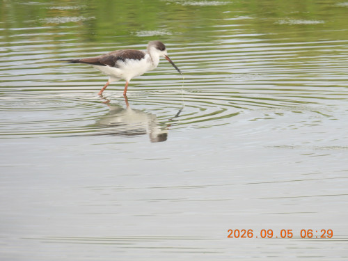 DSCN5409.JPG