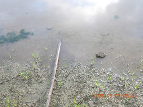 DSCN5413.JPG