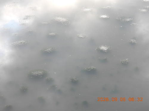 DSCN5414.JPG