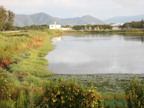 DSCN5392.JPG