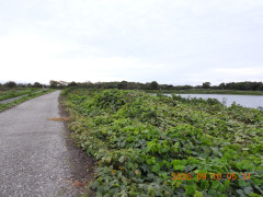DSCN5416.JPG